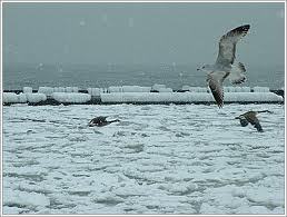 //api.maakom.link/uploads/maakom/originals/898a3380-d876-432c-8ce9-f5093d738405.jpeg